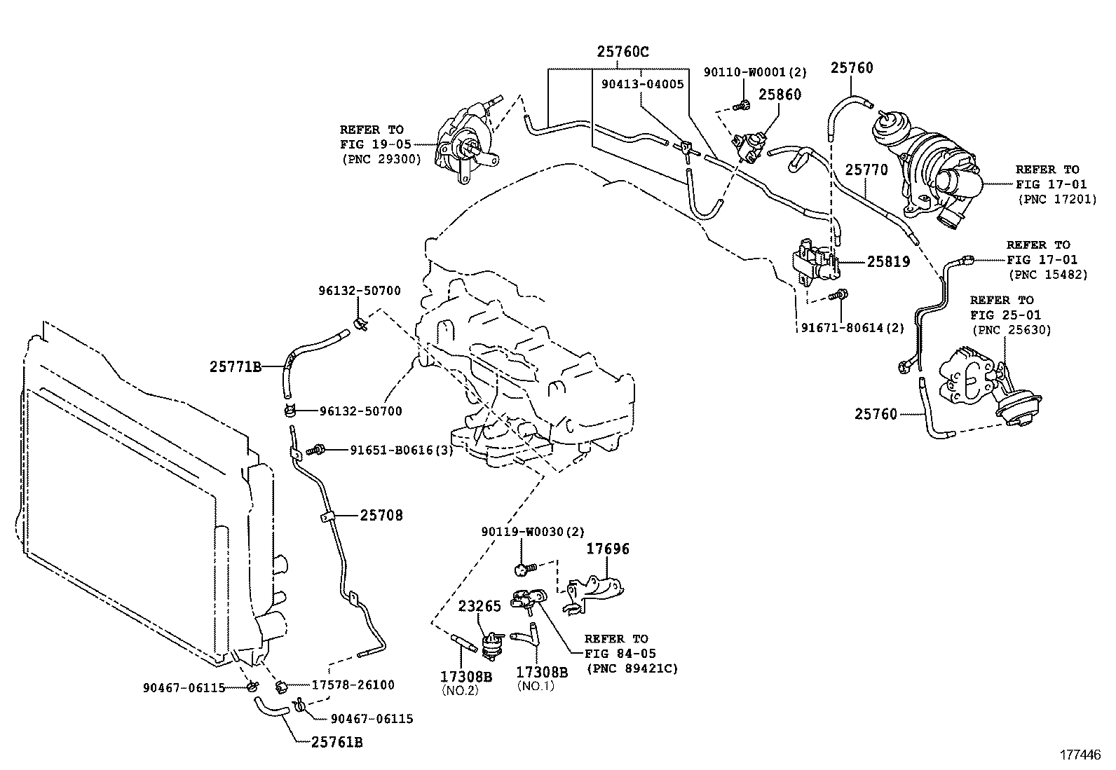 Figure 177446