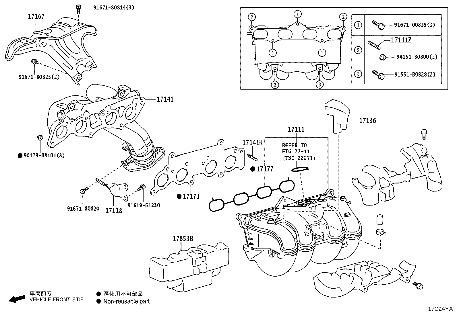 Figure 17C9AYA