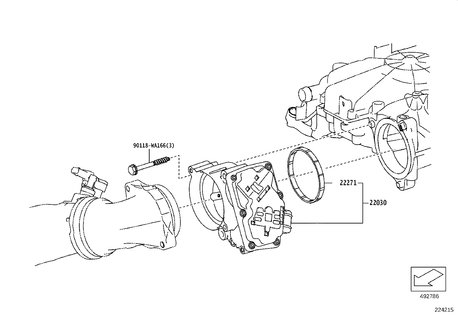 Figure 224215