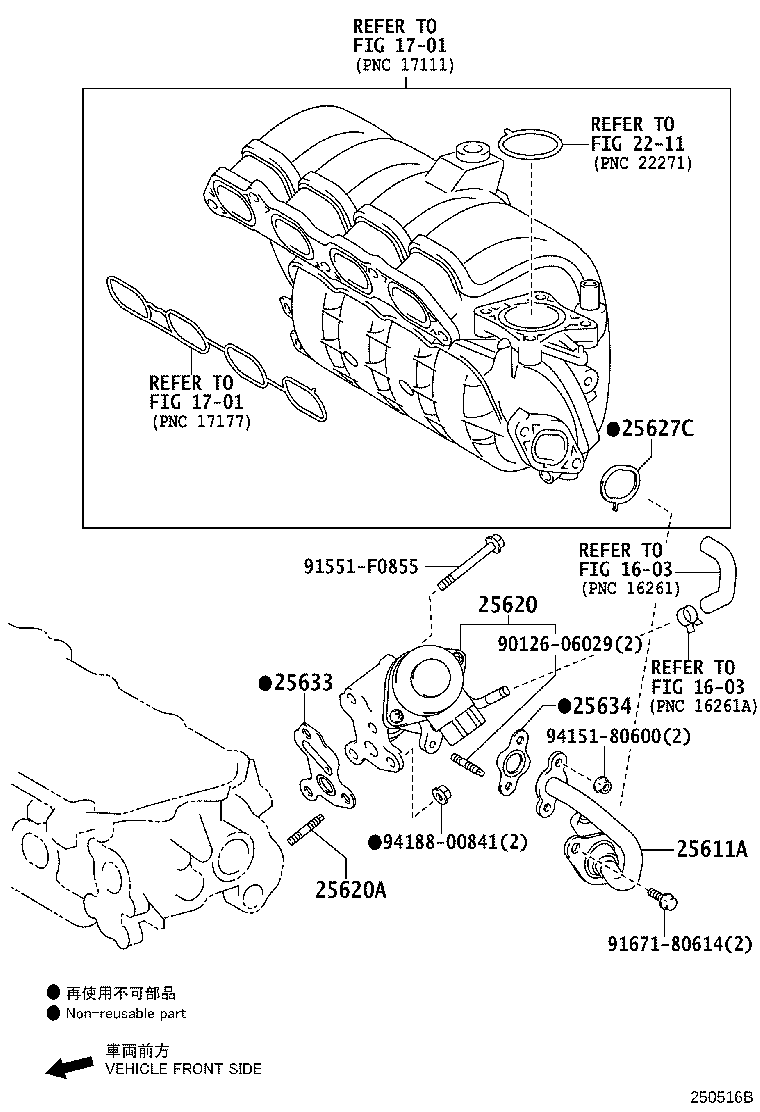 Figure 250516B