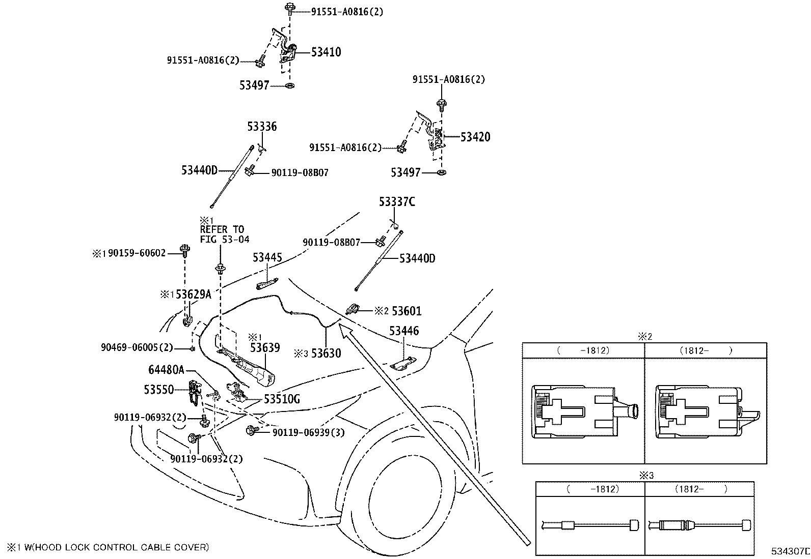 Figure 534307D