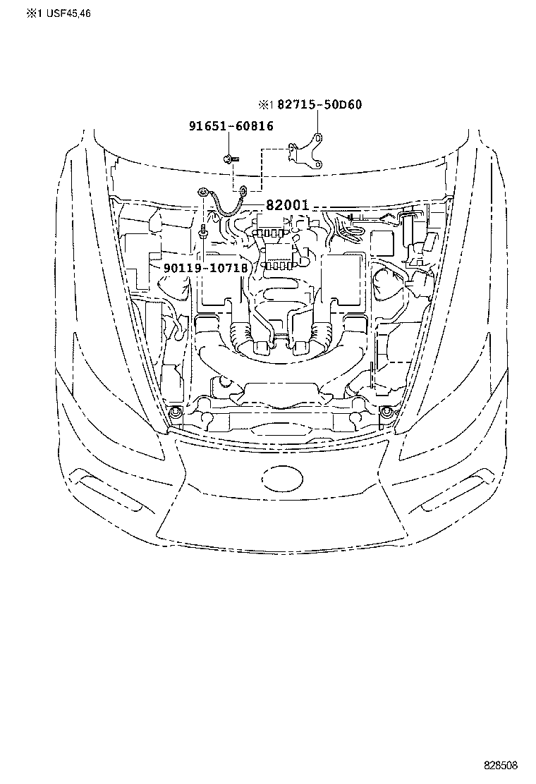 Figure 828508
