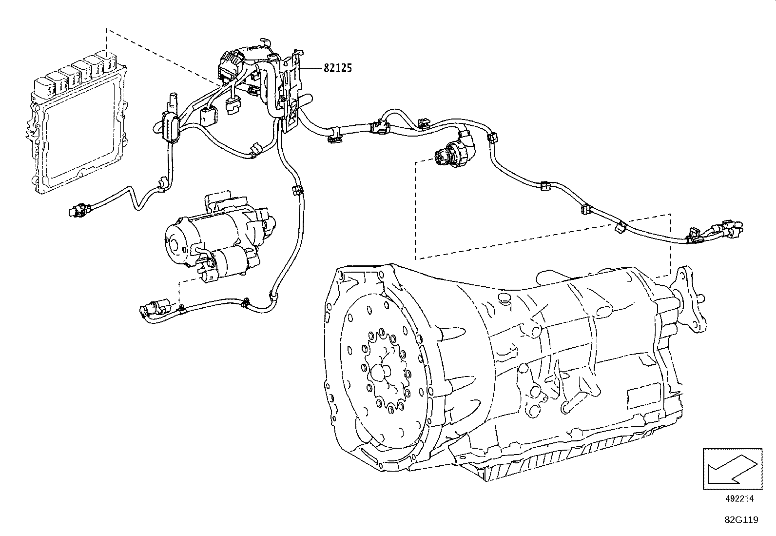 Figure 82G119