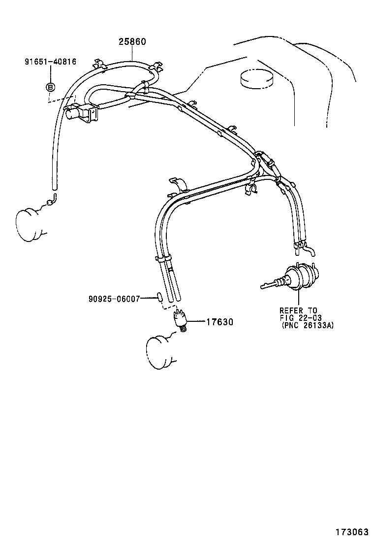 Figure 173063
