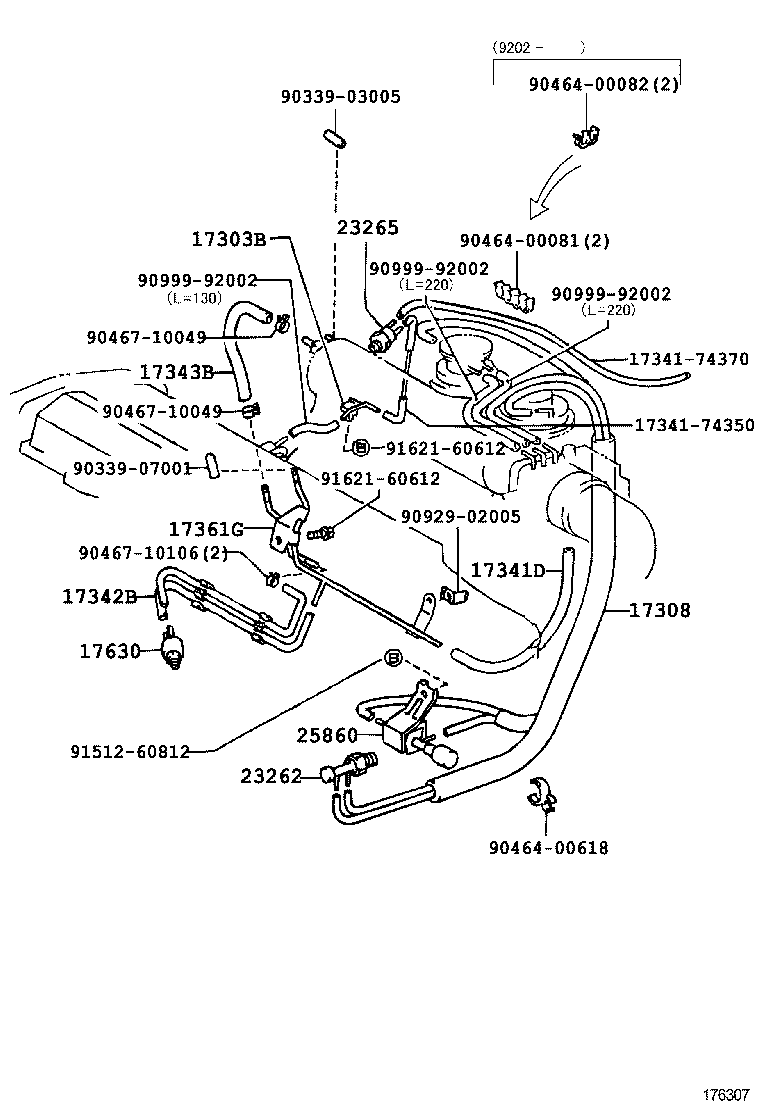 Figure 176307