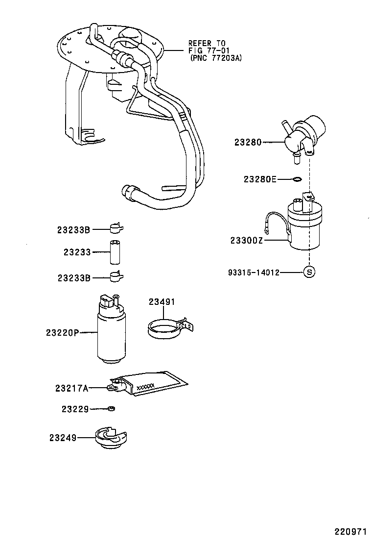 Figure 220971