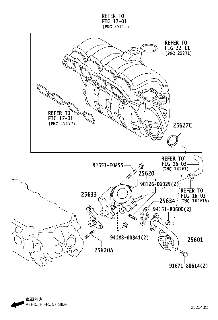 Figure 250343C