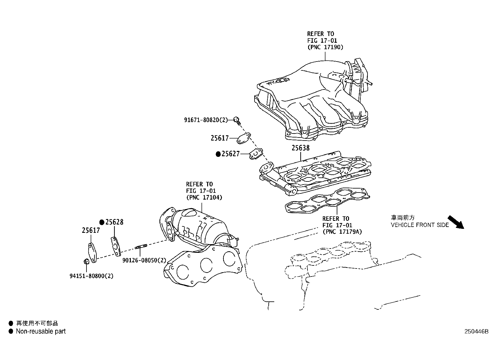 Figure 250446B