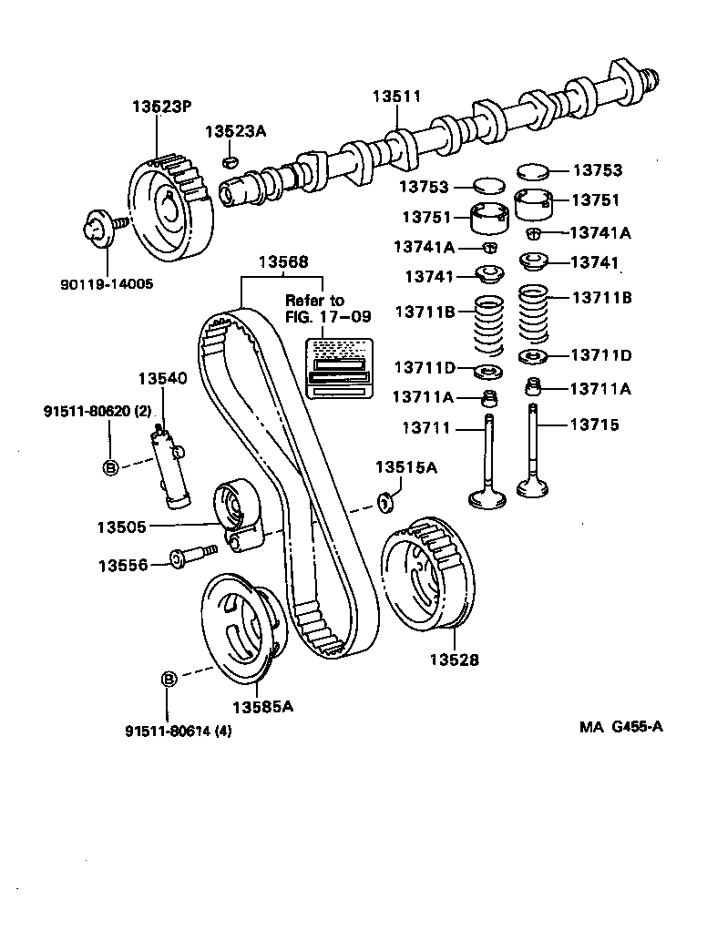 Figure MAG455A