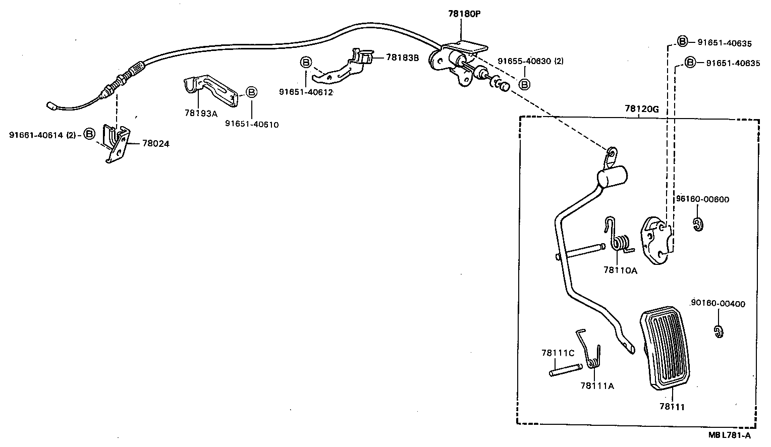 Figure MBL781A