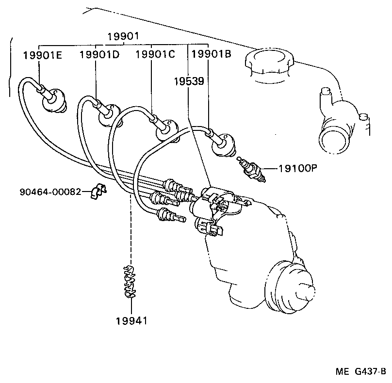 Figure MEG437B