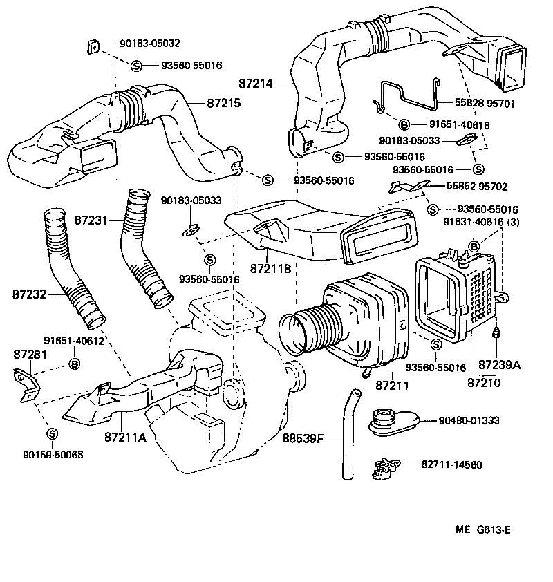 Figure MEG613E