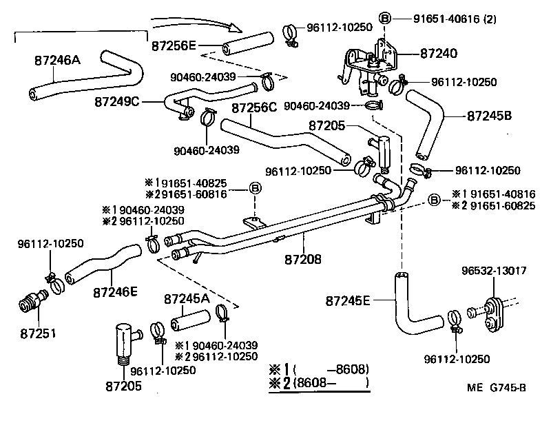 Figure MEG745B