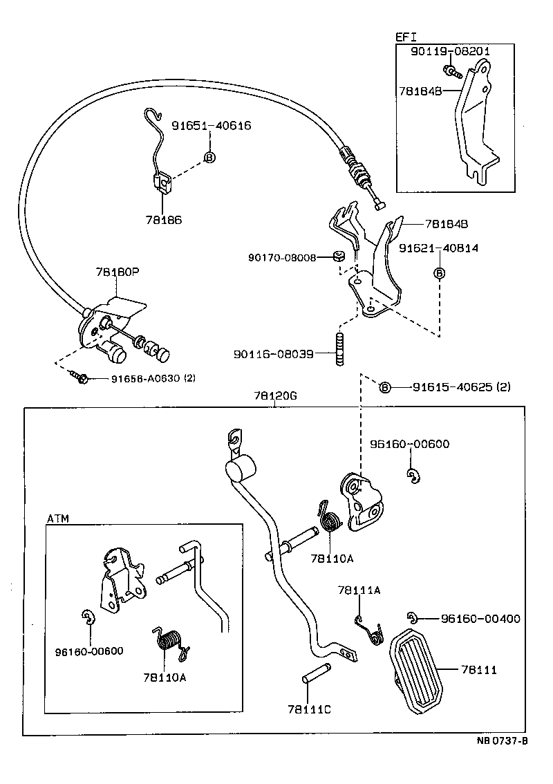 Figure NB0737B