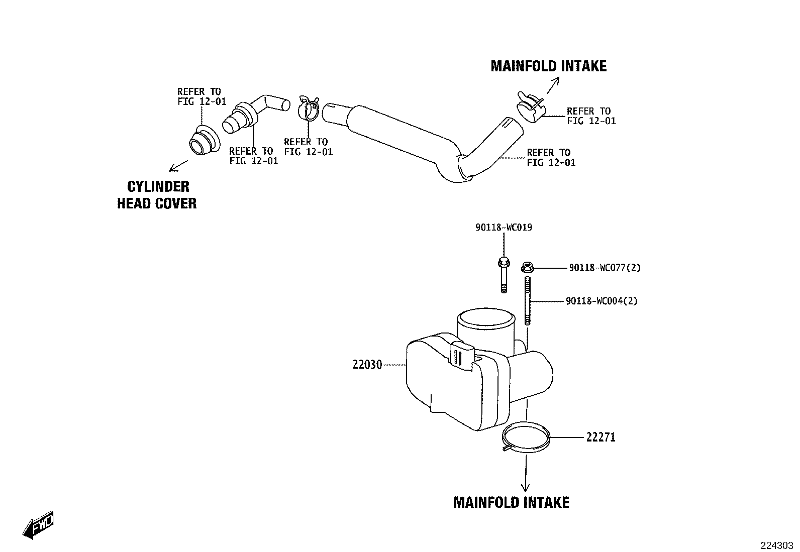 Figure 224303
