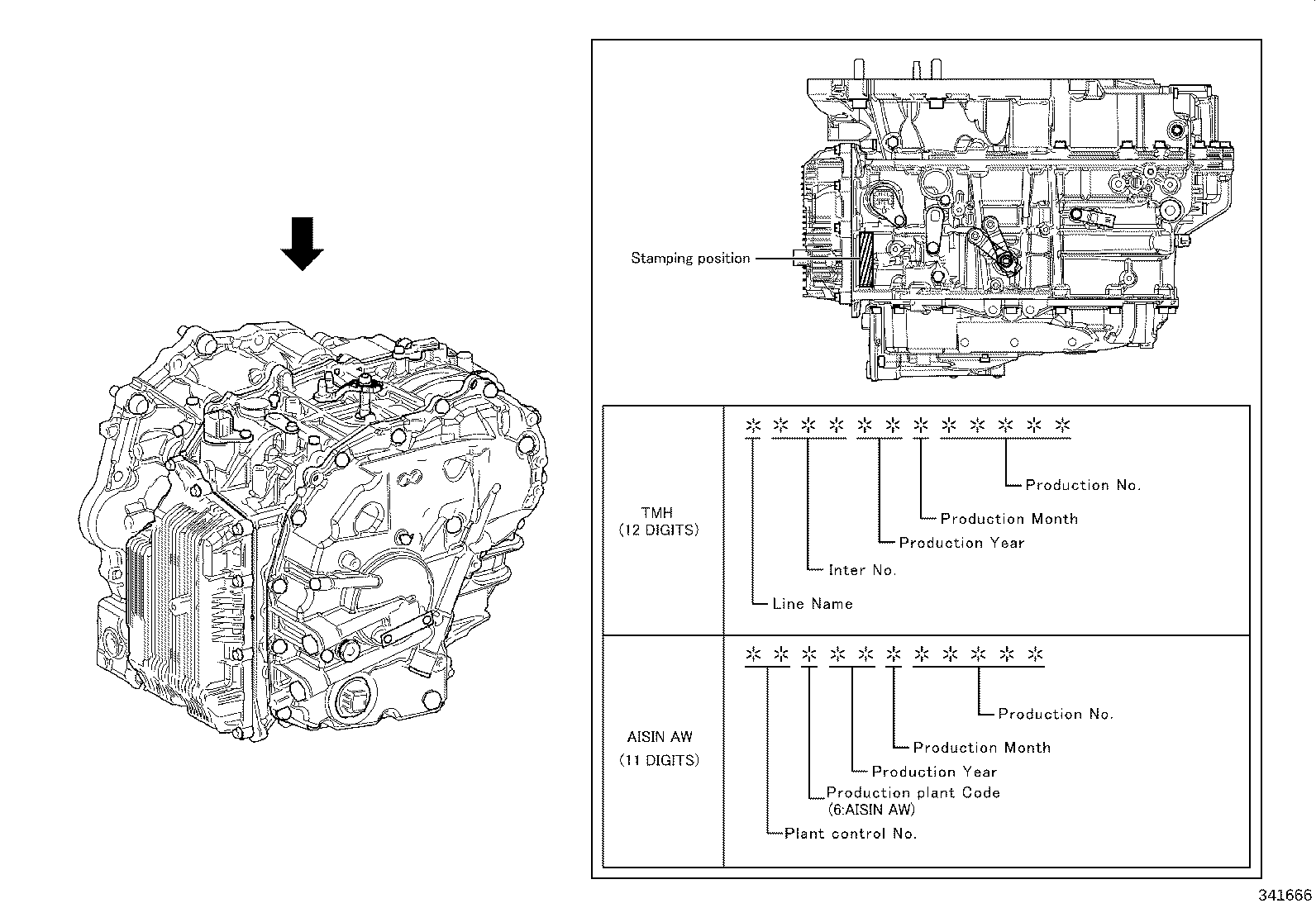 Figure 341666