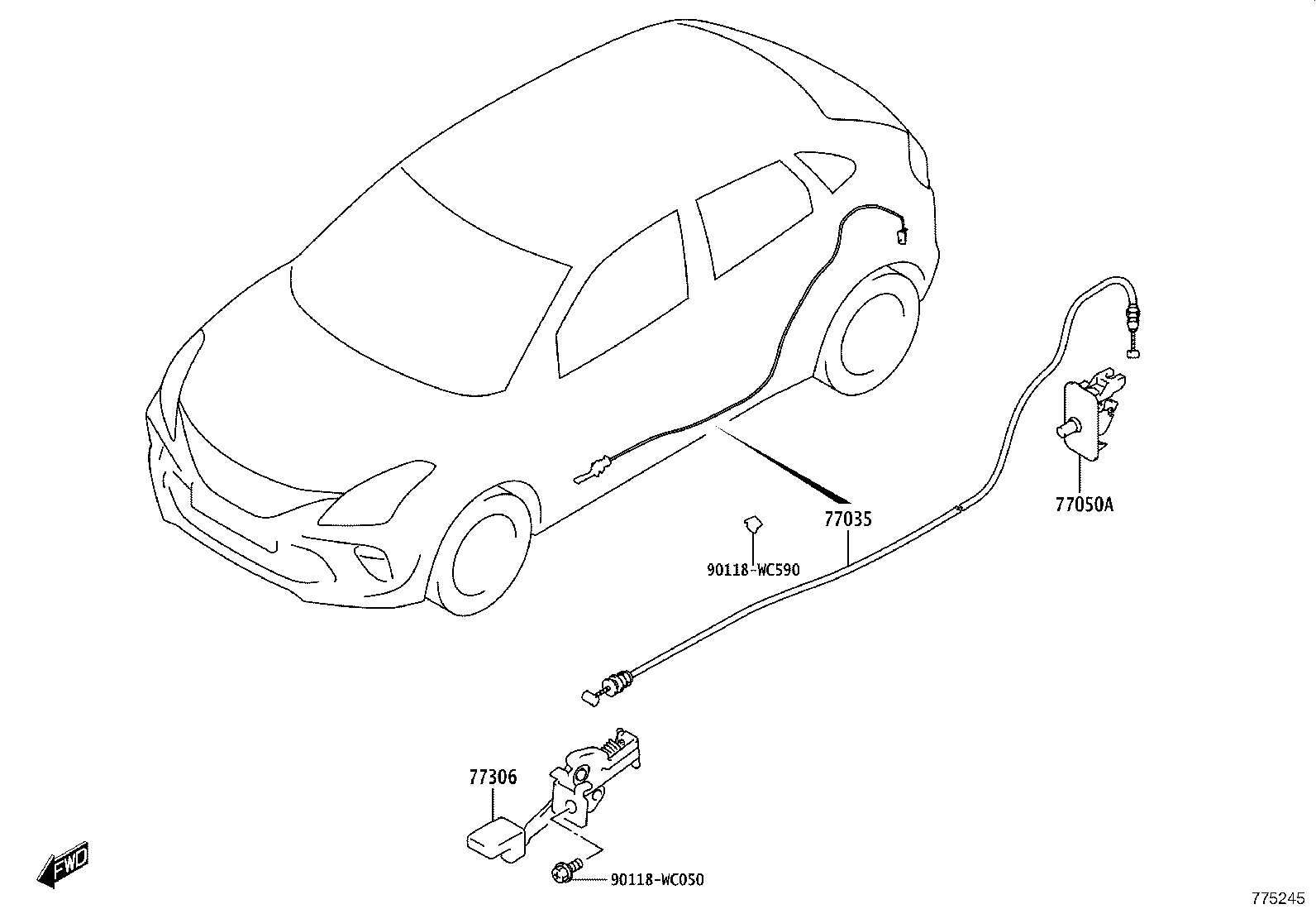Figure 775245