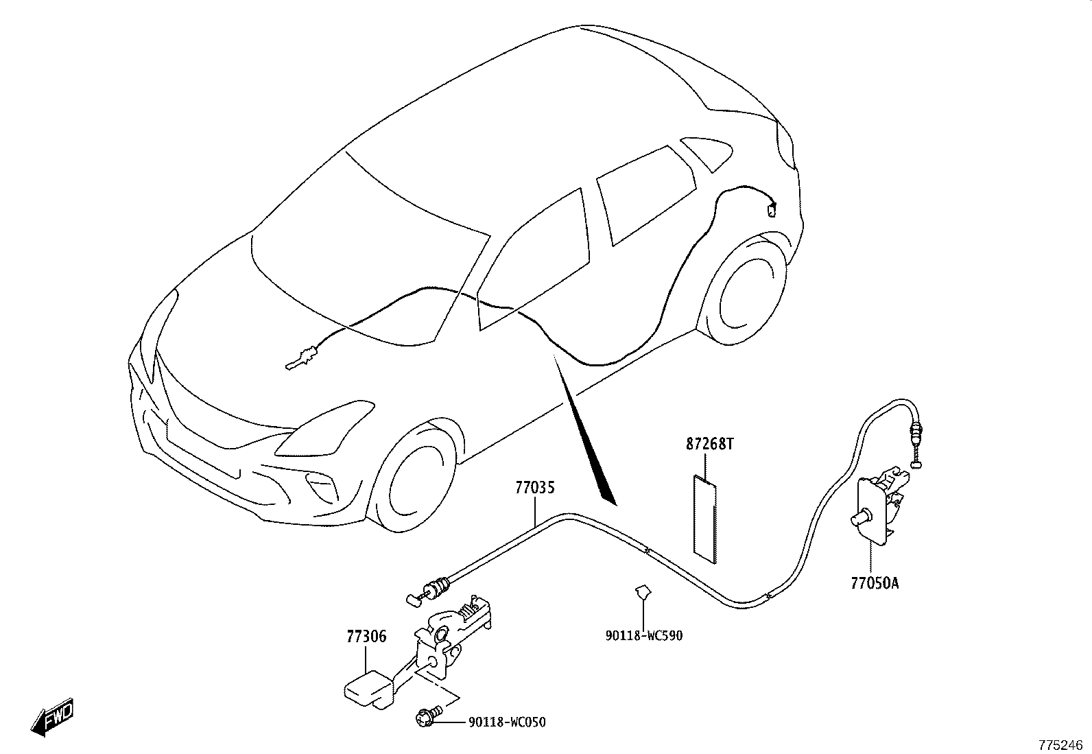 Figure 775246