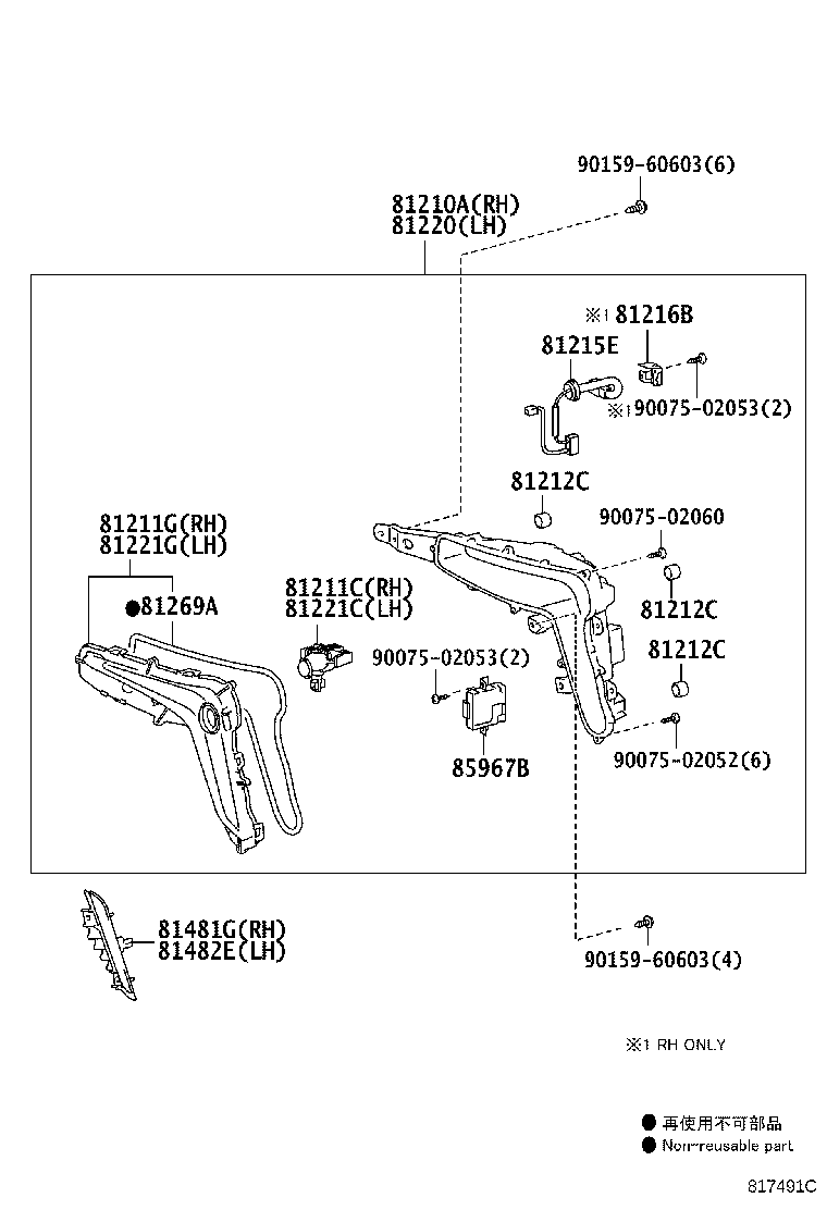 Figure 817491C