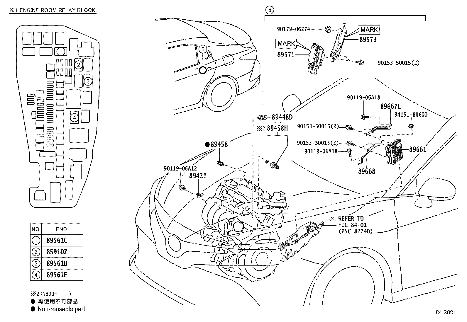 Figure 84I309L