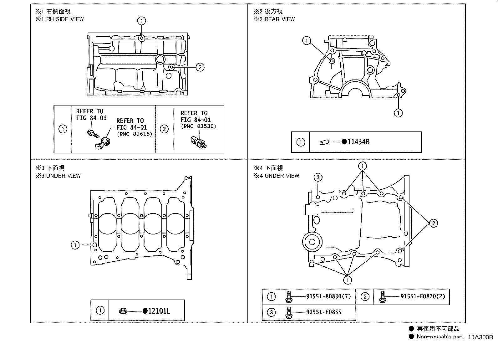 Figure 11A300B
