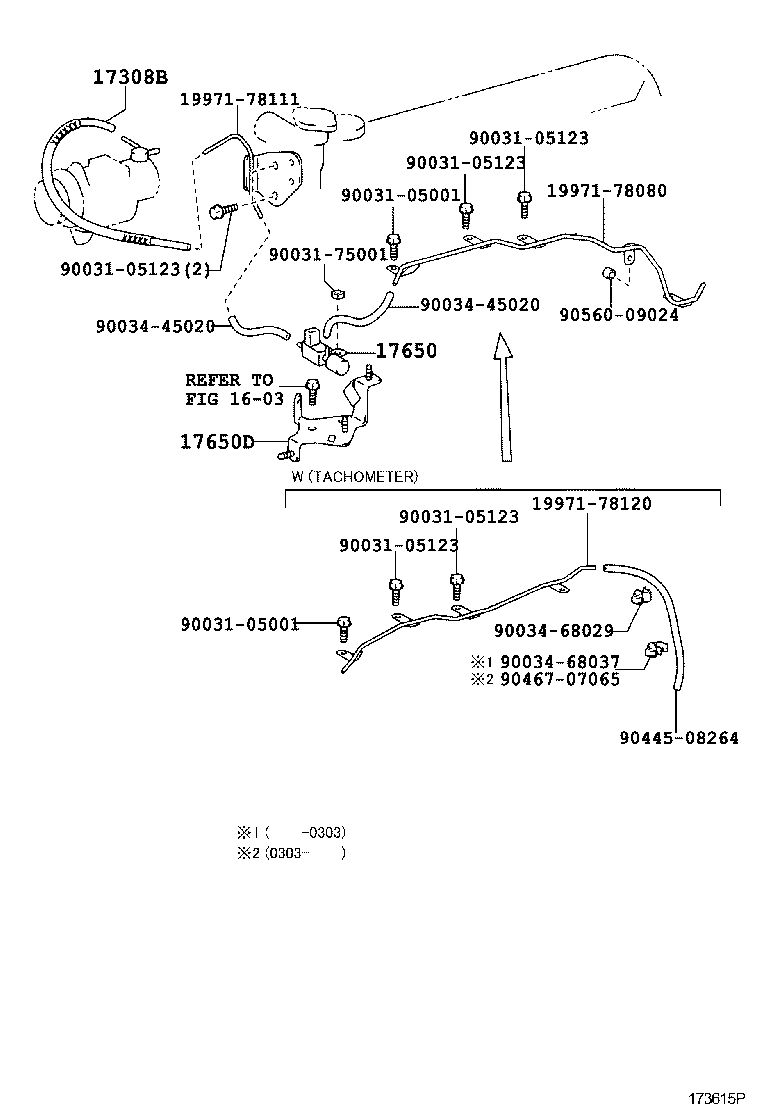 Figure 173615P