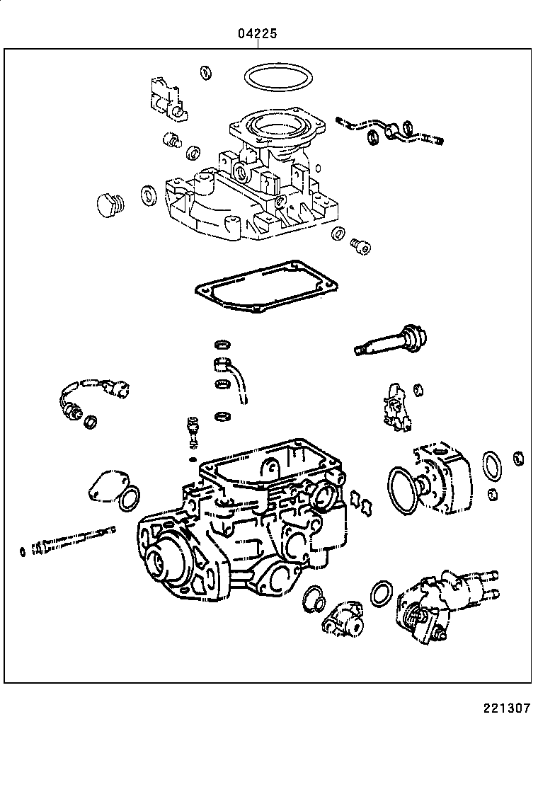 Figure 221307