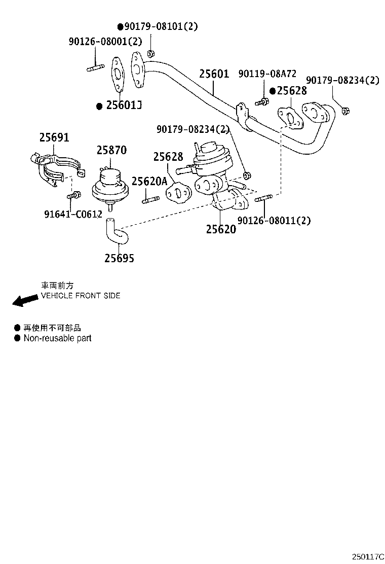 Figure 250117C