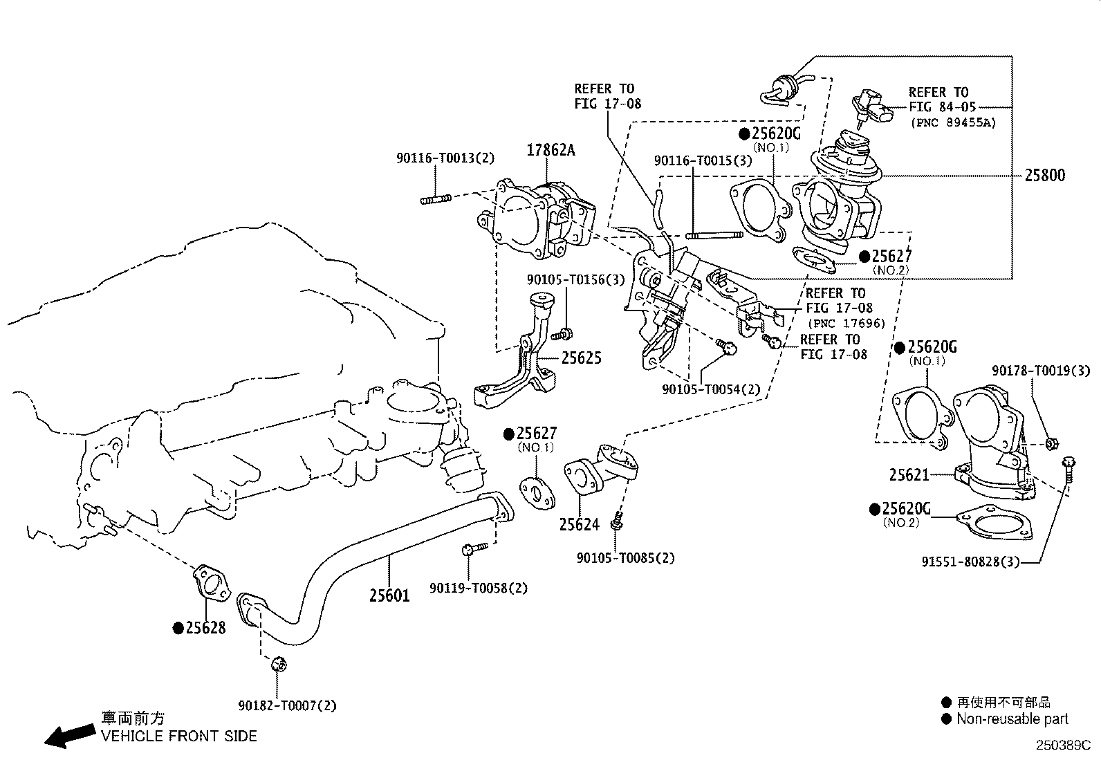 Figure 250389C