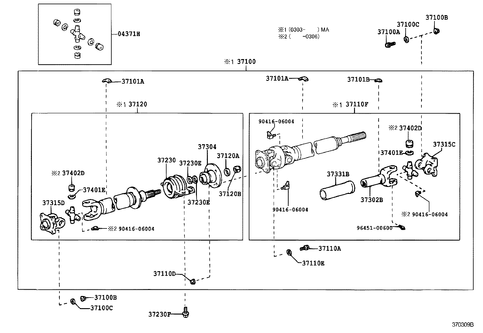 Figure 370309B