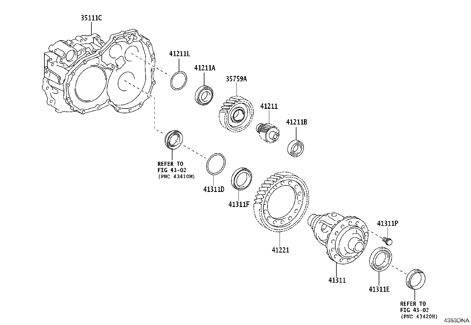 Figure 4353DNA