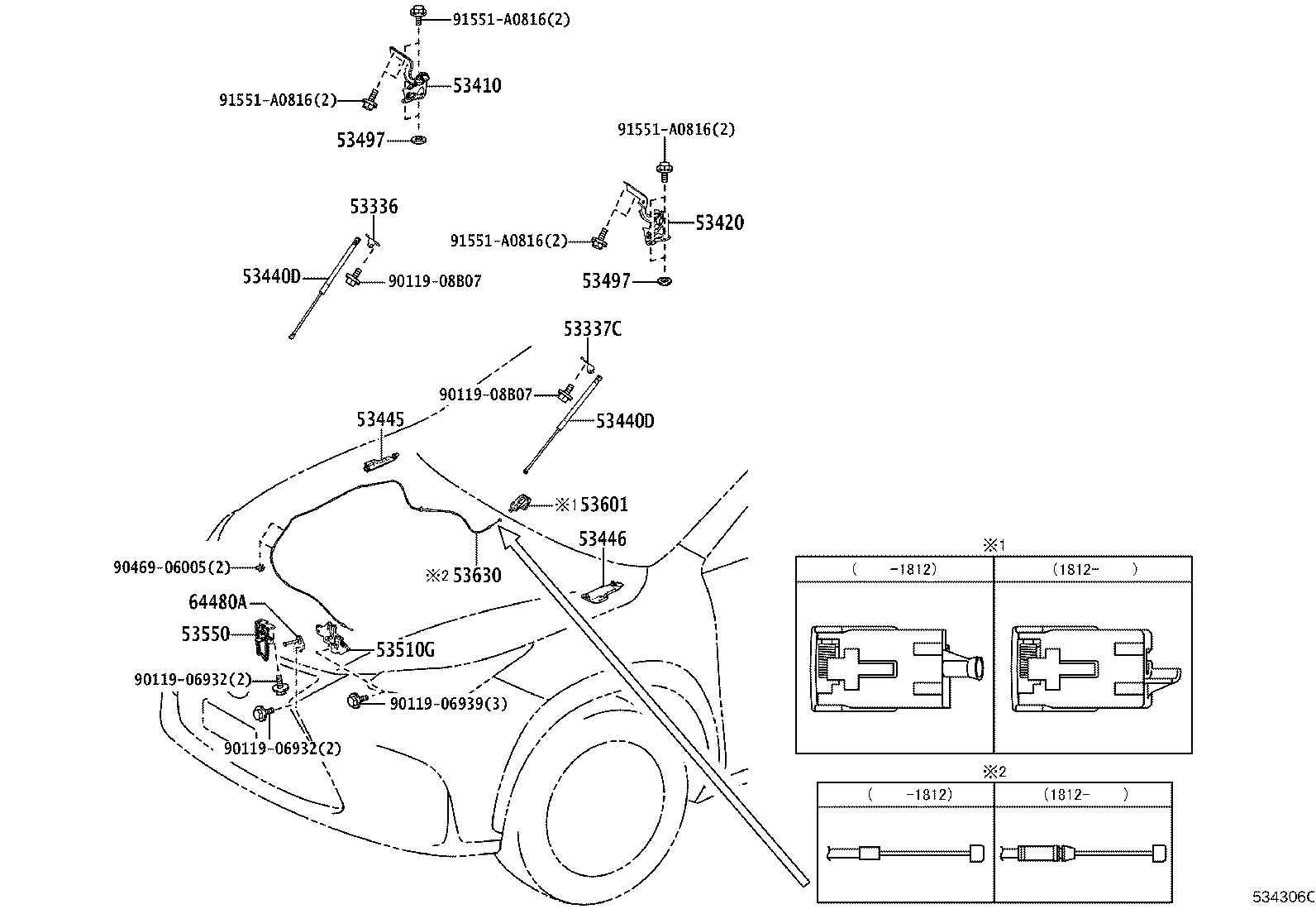 Figure 534306C