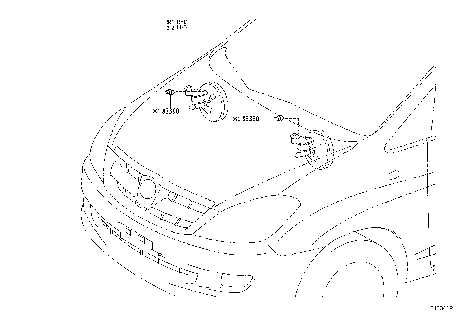 Figure 846341P