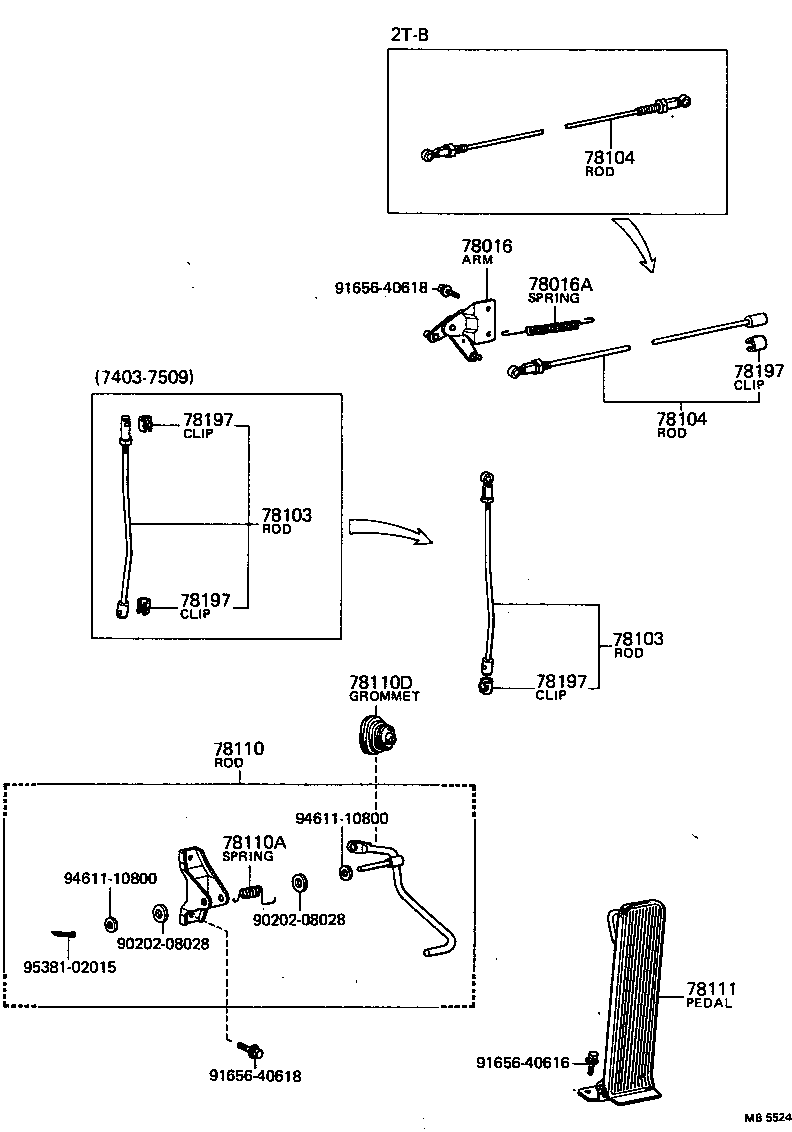 Figure MB5524