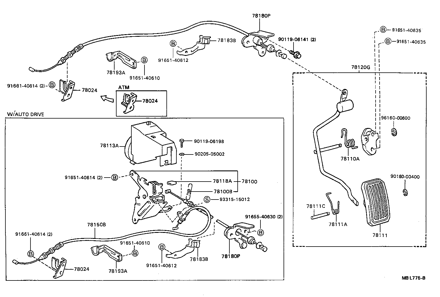 Figure MBL775B
