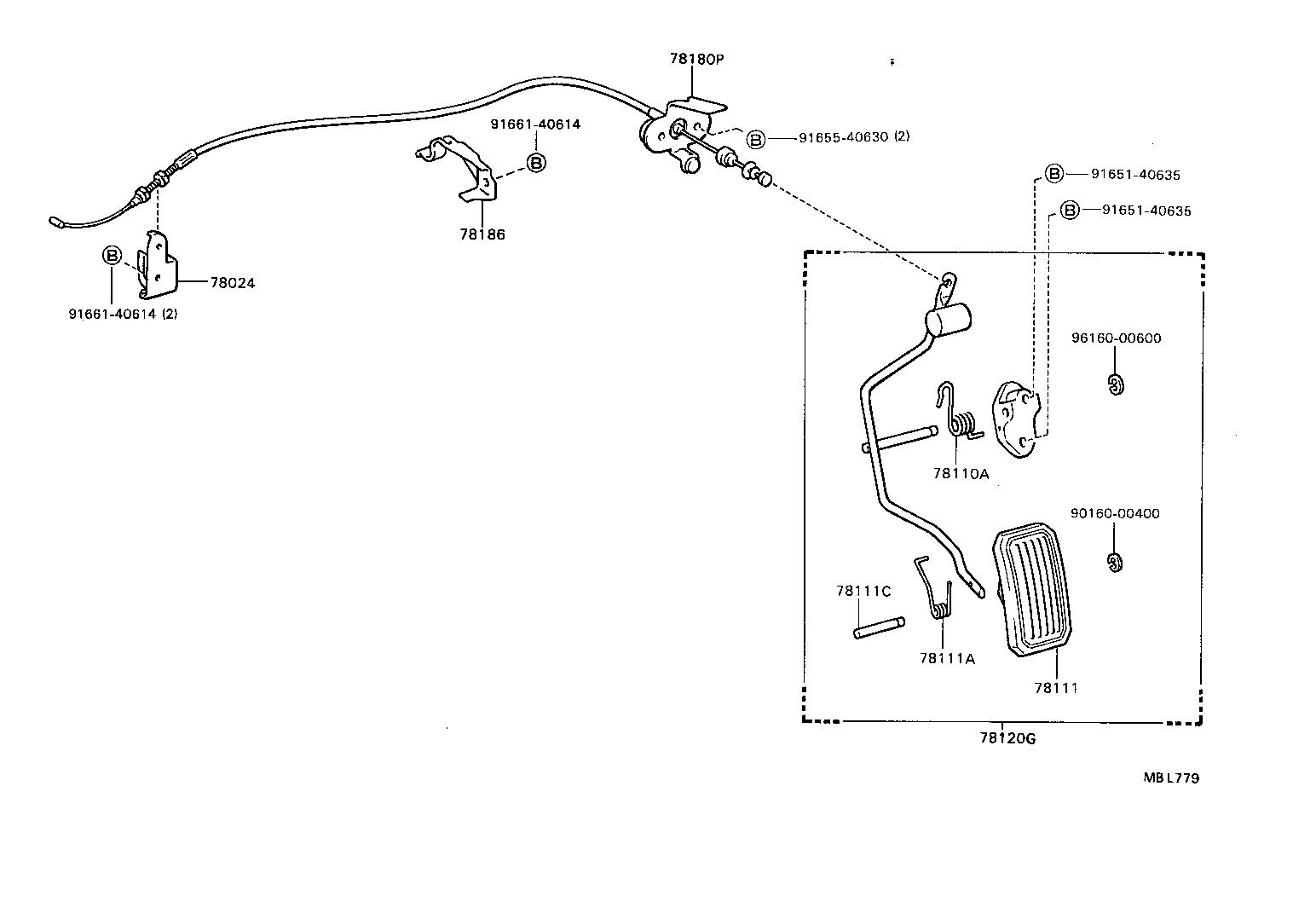 Figure MBL779