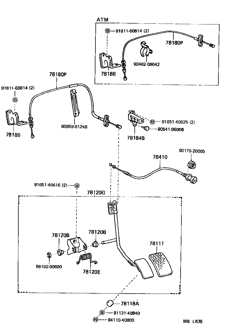 Figure MBL835