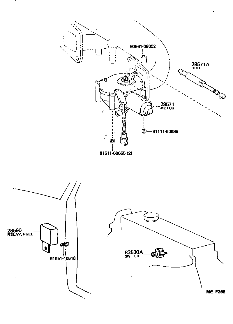 Figure MEF368