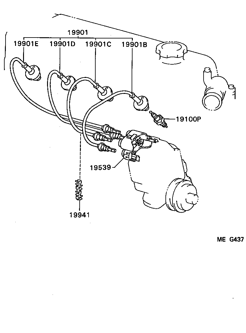 Figure MEG437