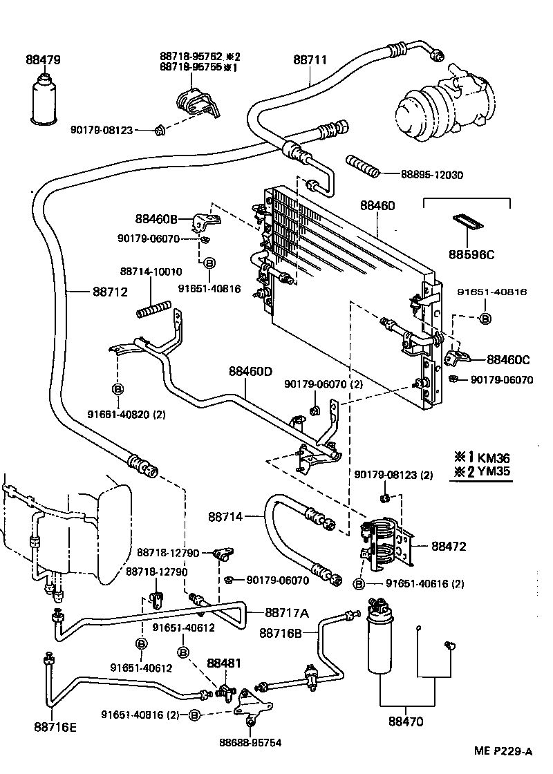 Figure MEP229A