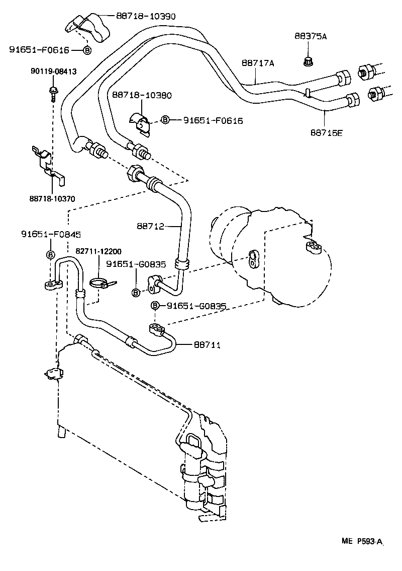 Figure MEP593A