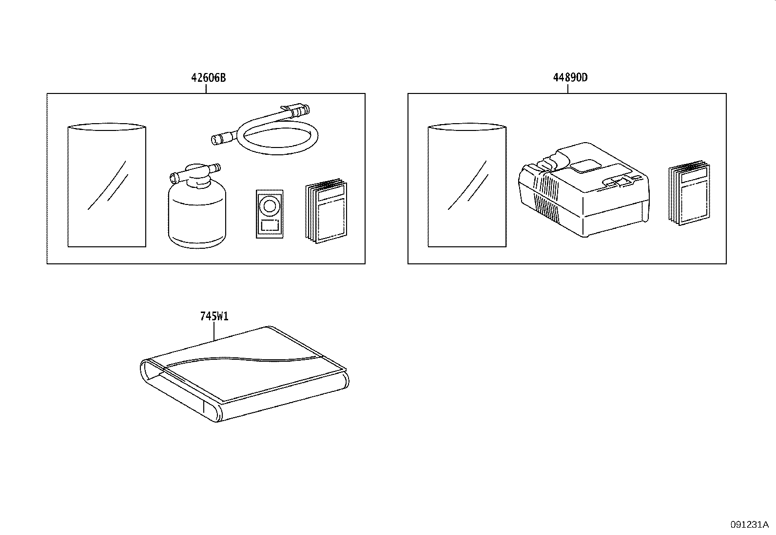 Figure 091231A
