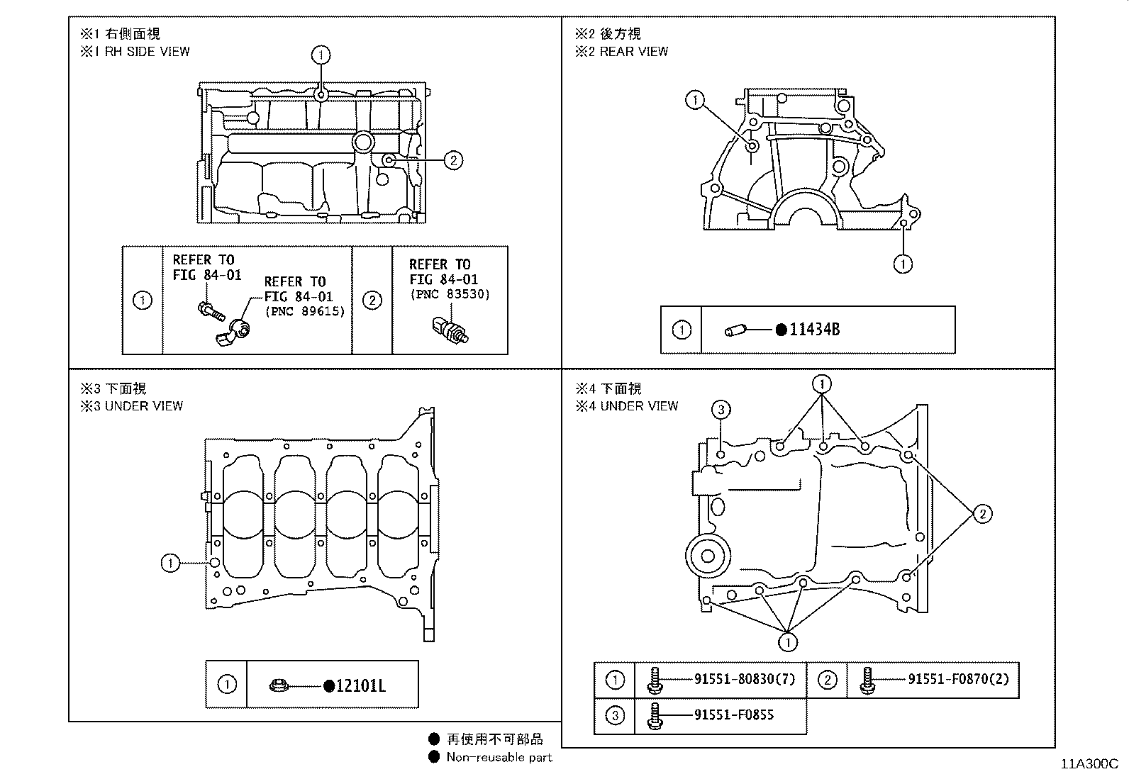 Figure 11A300C