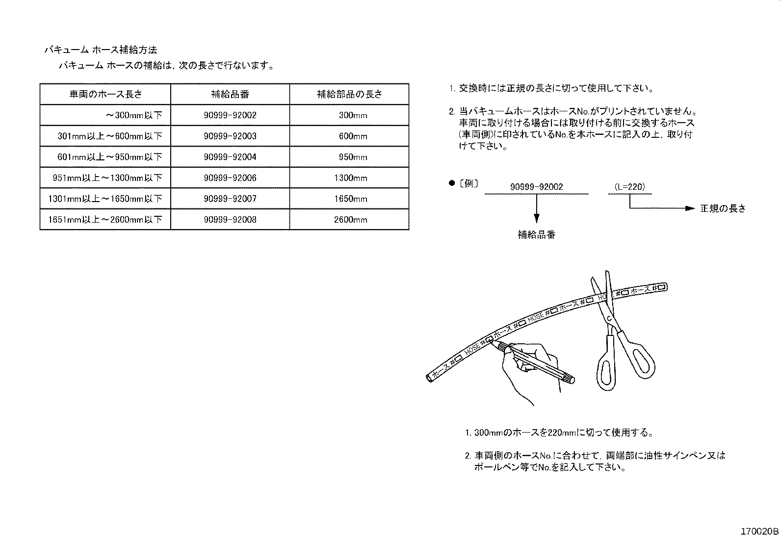 Figure 170020B