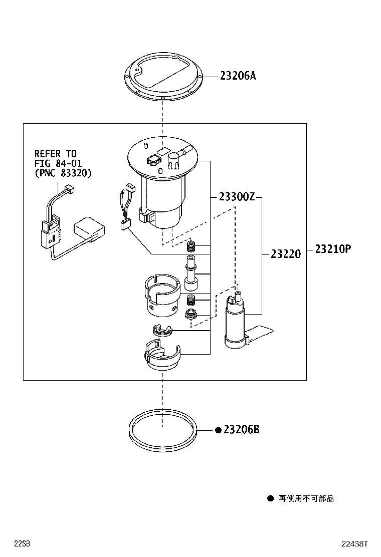 Figure 22438T