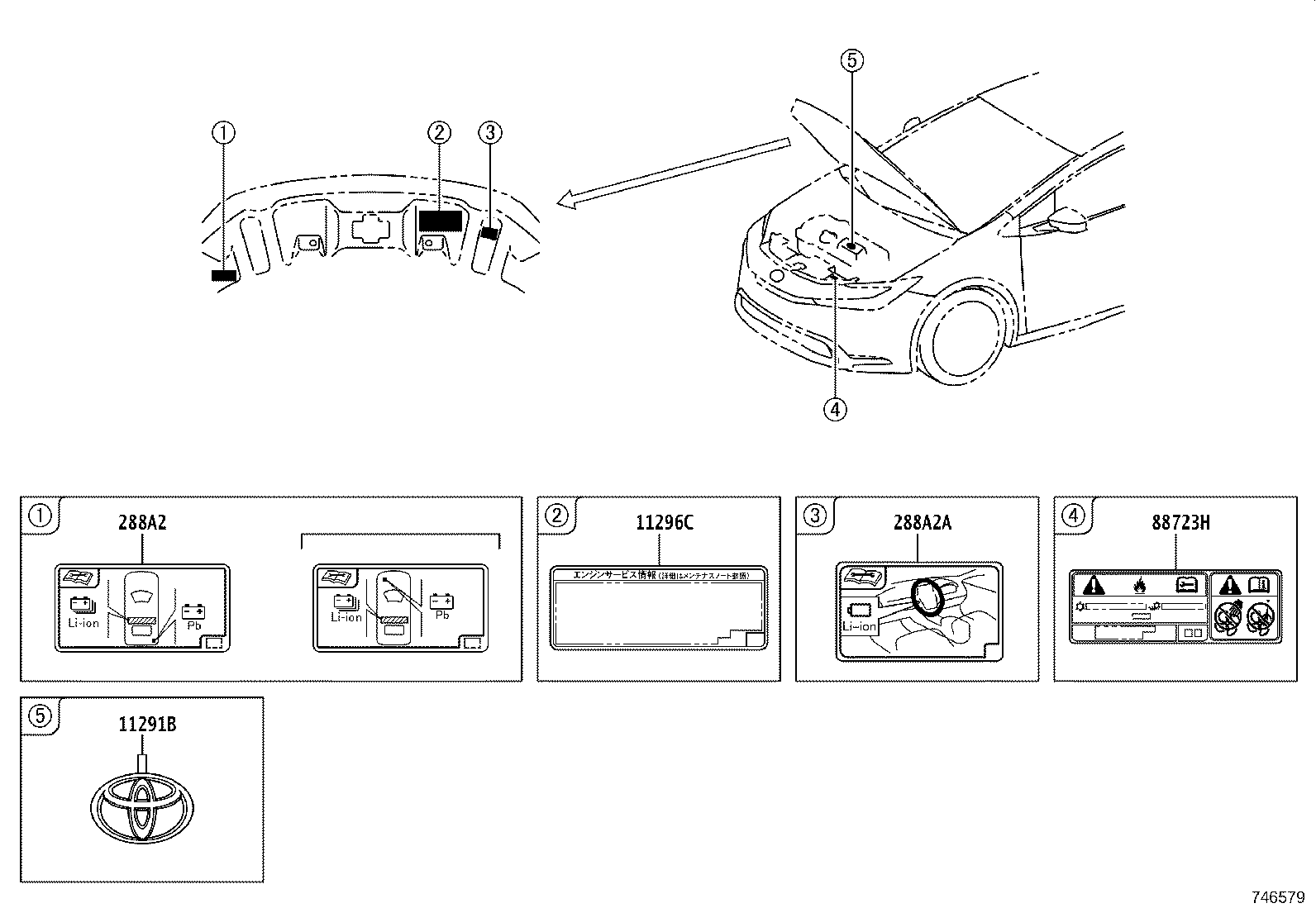 Figure 746579