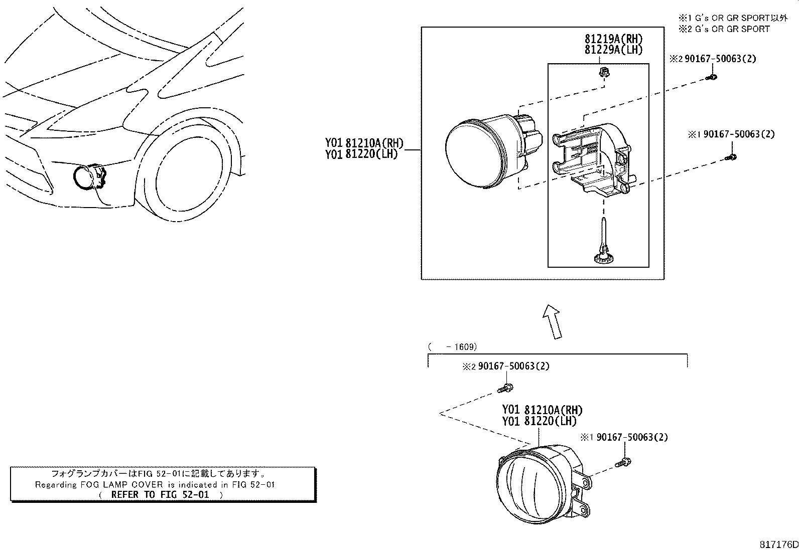 Figure 817176D