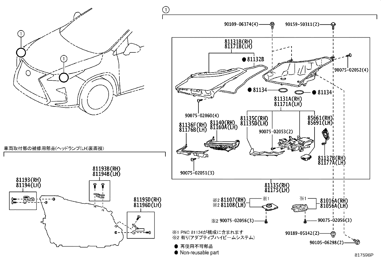 Figure 817596P