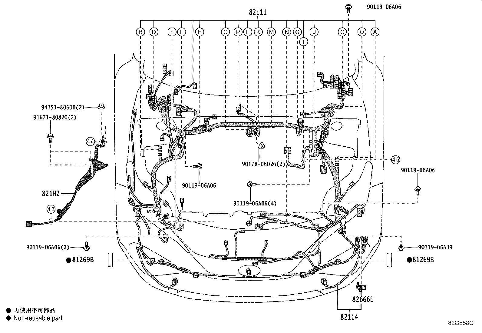 Figure 82G558C