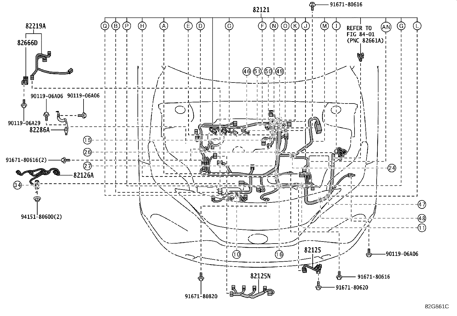 Figure 82G561C